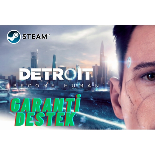  DETROİT BECOME HUMAN - KİŞİYE ÖZEL HESAP